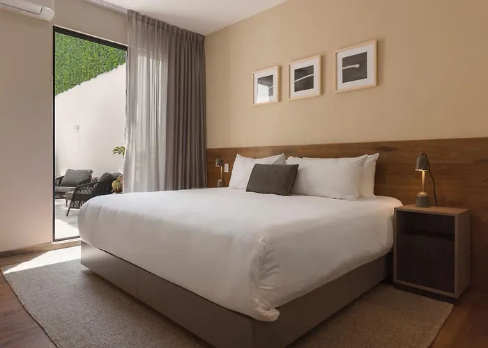 Hotel Leonora By Viadora México DF